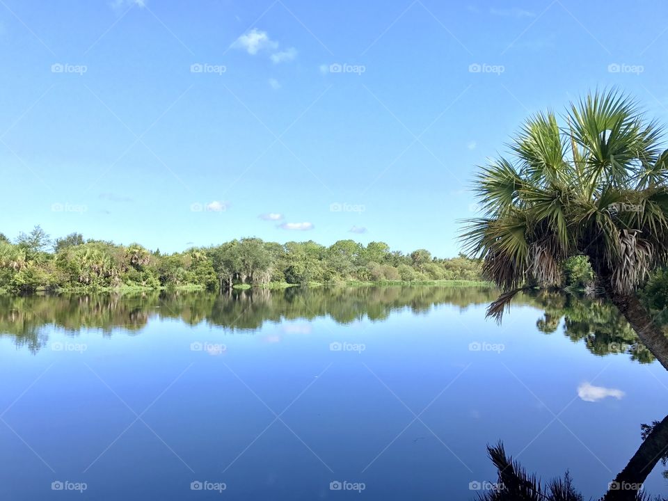 Myakka lake view