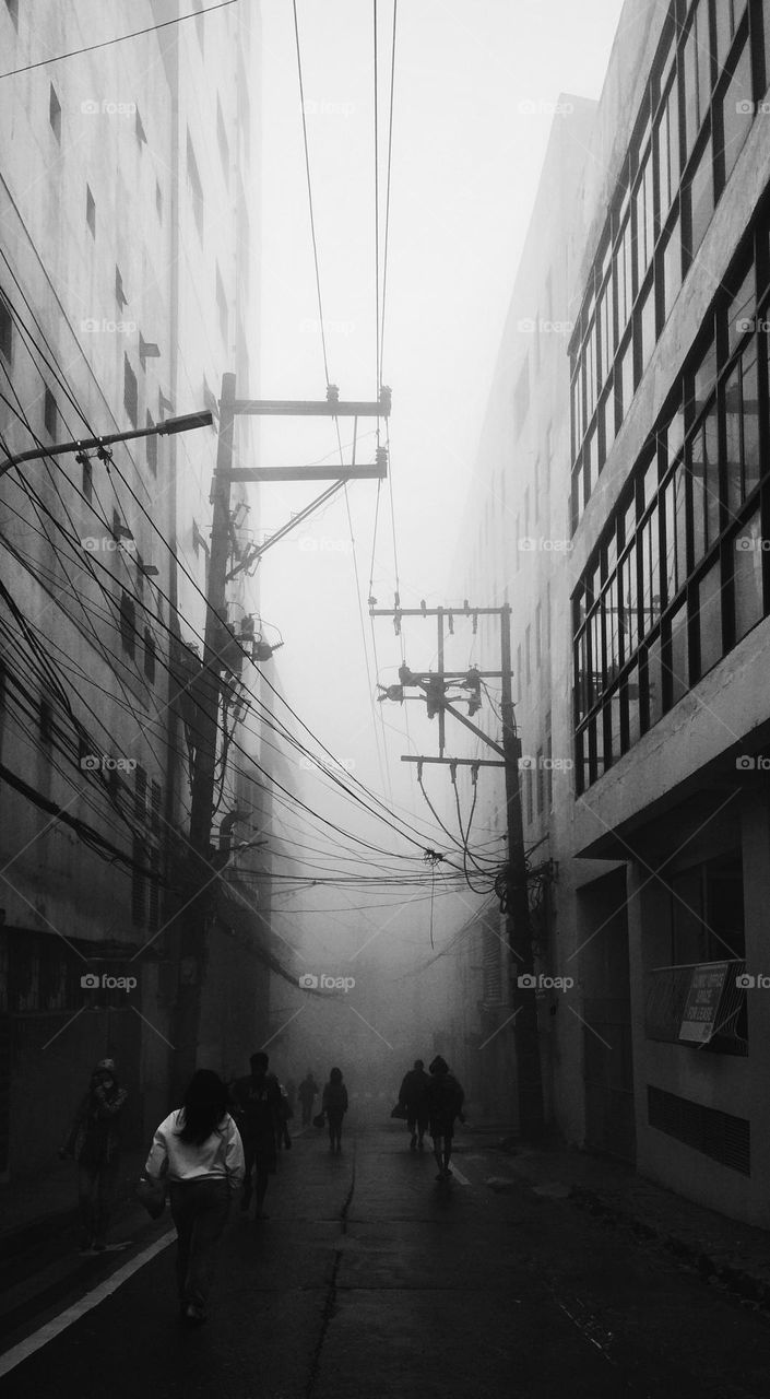 Afternoon stroll in fog city
