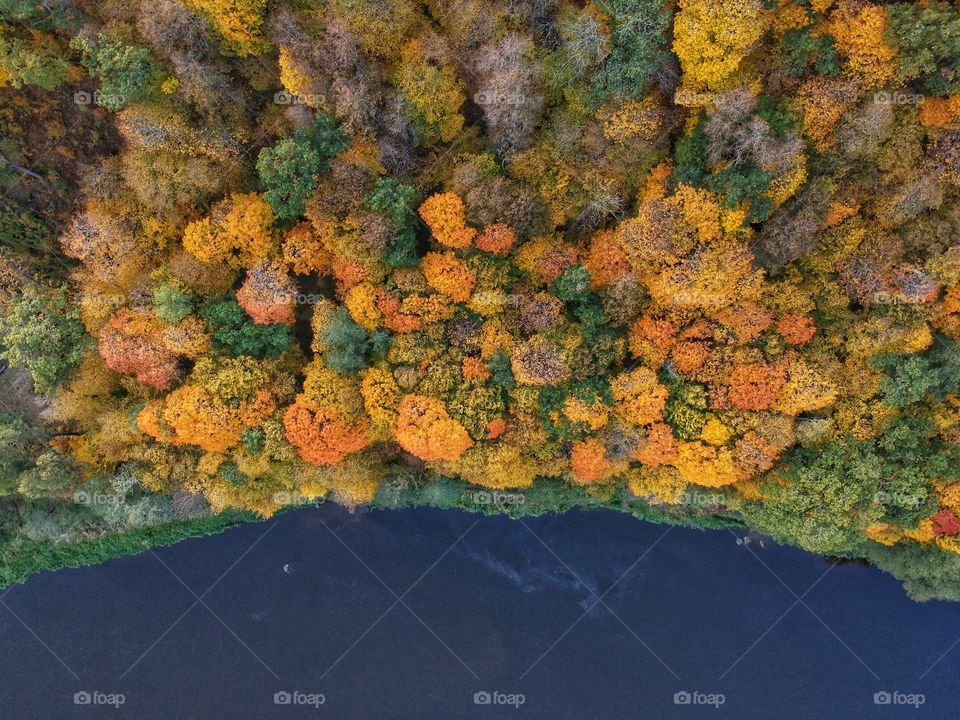 Beautiful forest in autumn from above. The picture was taken with a drone.