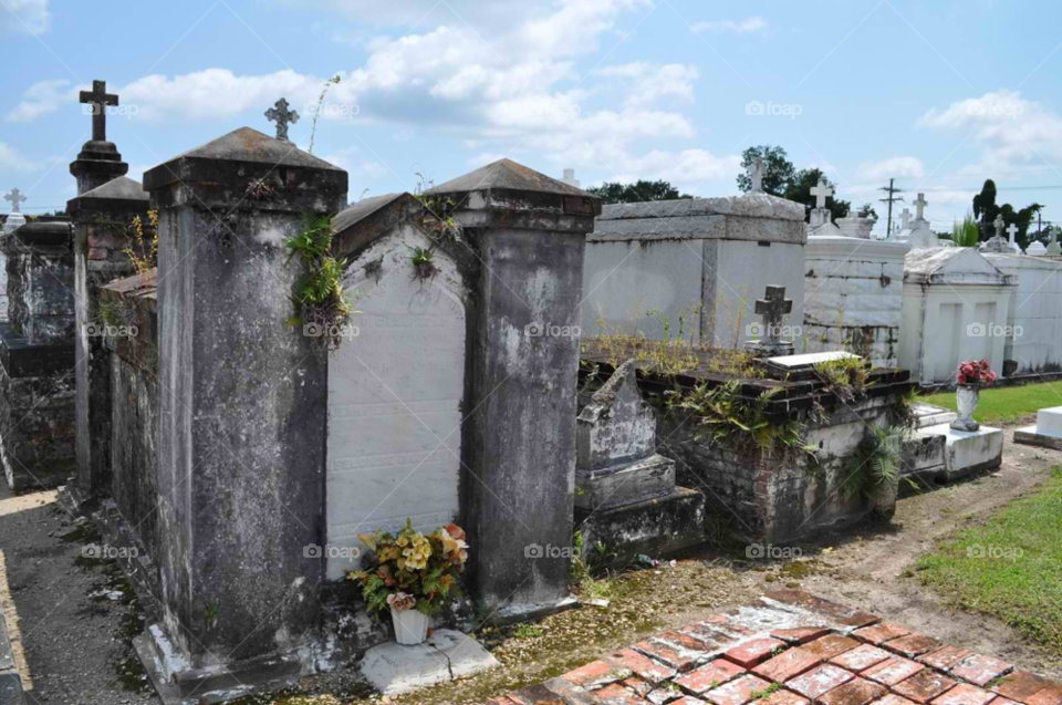 swamp louisiana cemetery new orleans by micheled312