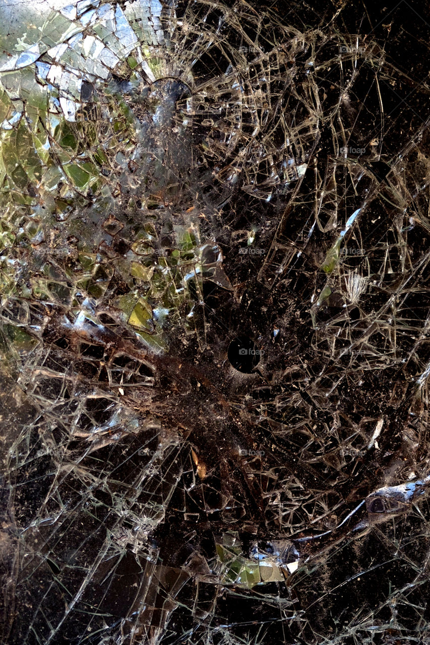 A Tree Branch Pushes Through A Broken Window In An Abandoned Building