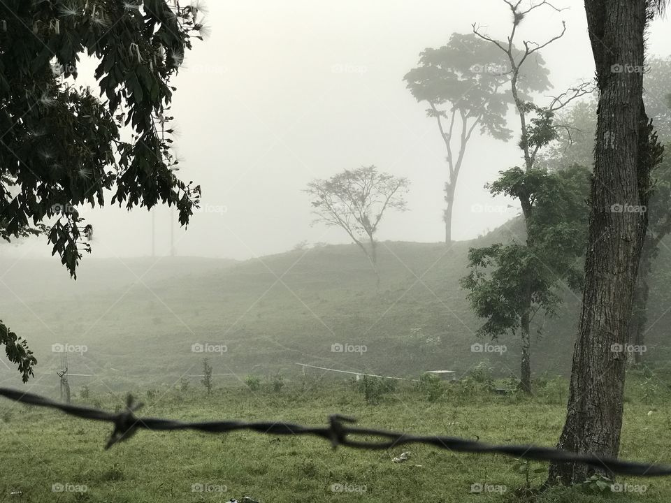 Natural foggy mist landscape