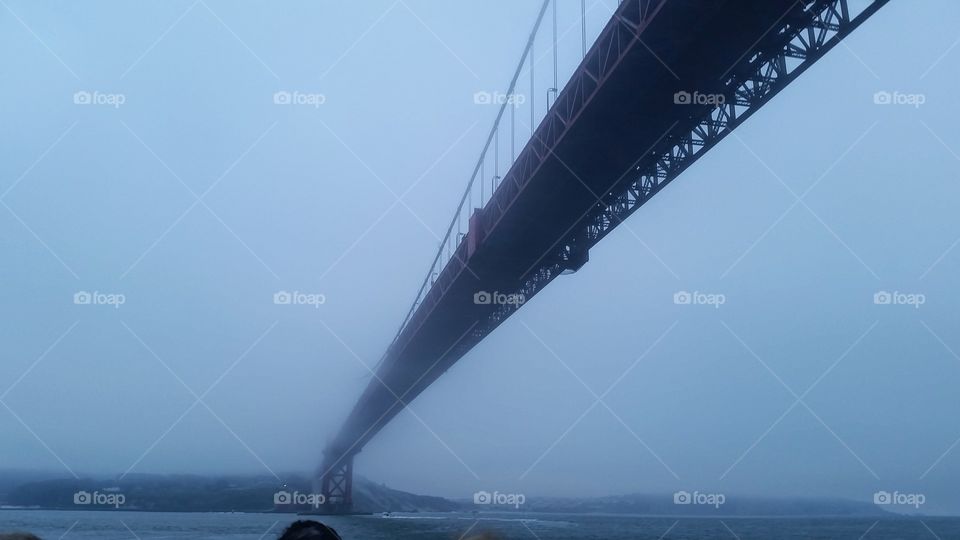 bridge to the mist. The majestic Golden Gate Bridge in a layer of fog  