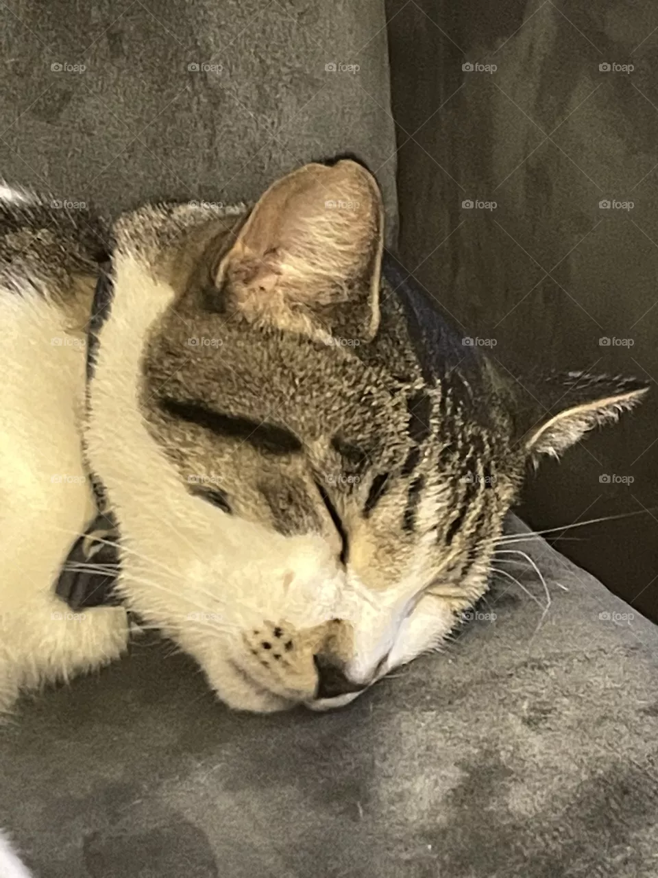 Sleep 
