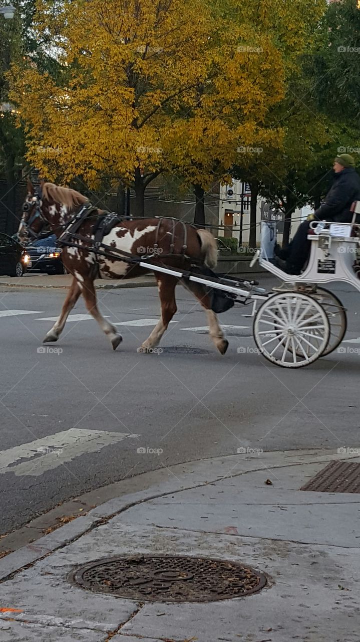 Getting Around Chicago