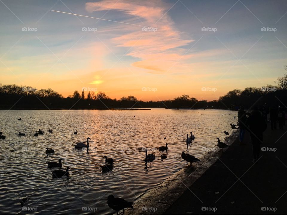 A view of Hyde Park at sunset, London.