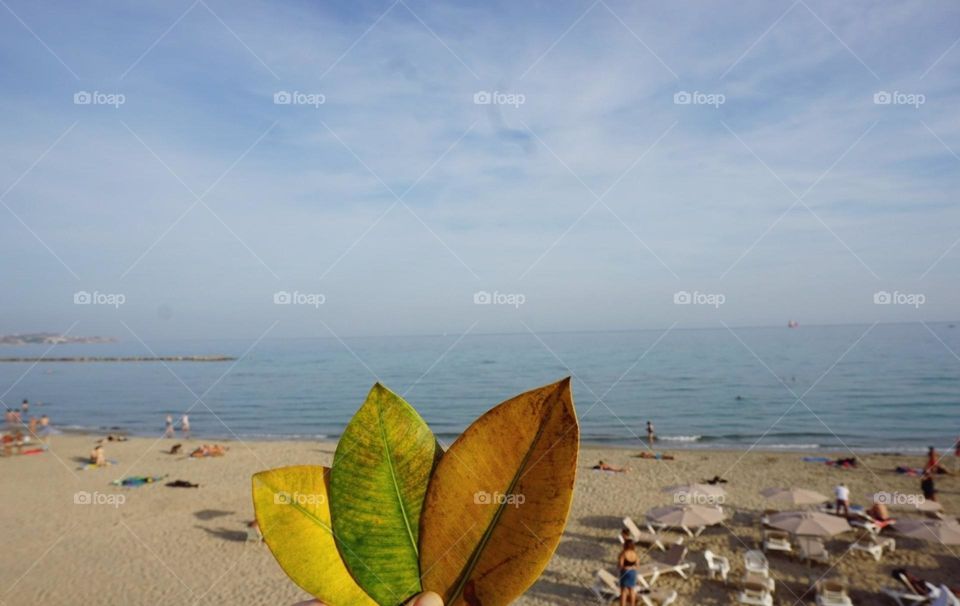 Beach#sea#sand#sky