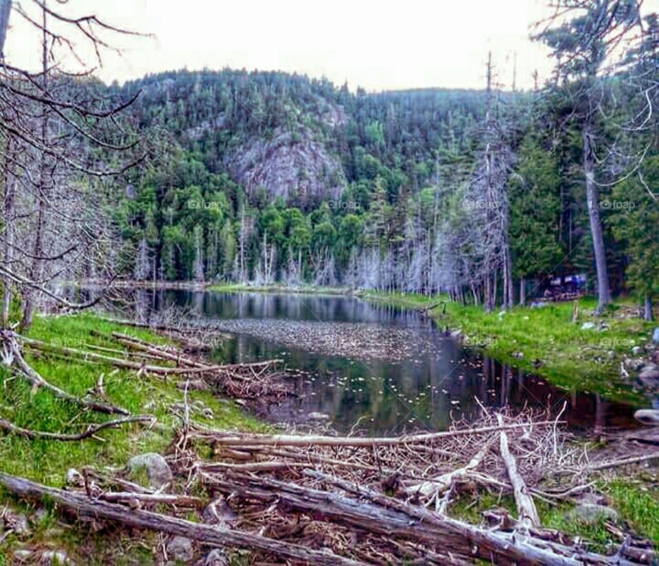 Pond on the High Peaks!