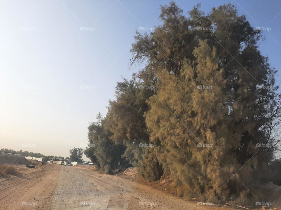 Please make me happy, I am poor, I need your help with support