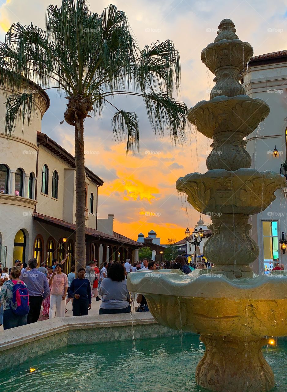 European style fountain, shops, palm tree and sunset