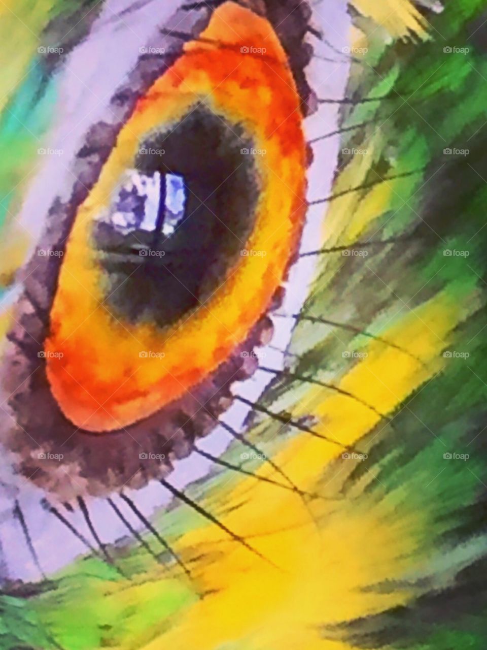 A close look at a parrot's eye