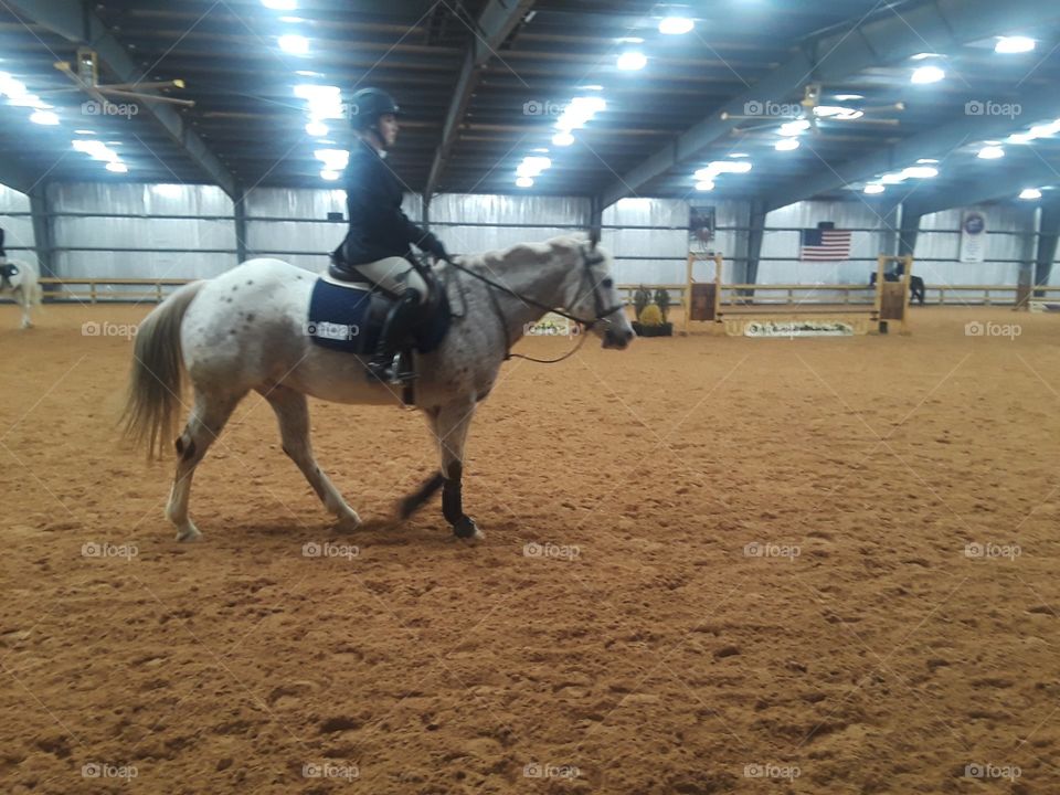 Horse back riding at the Liberty University horse show in Lynchburg, Virginia.