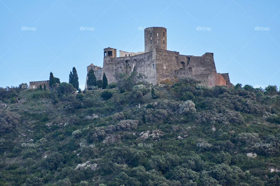 Collioure 