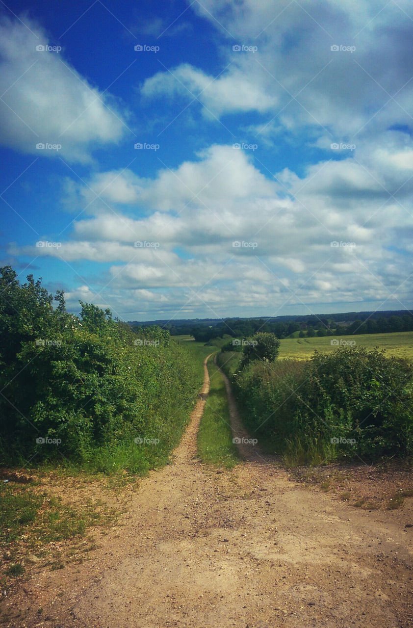 garden path. Basingstoke