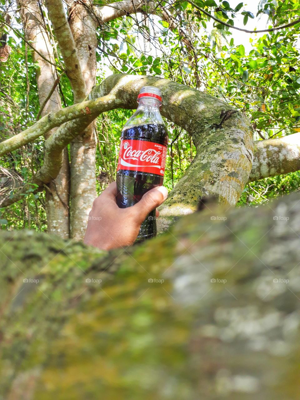 Beautiful Nature and Coca-Cola.