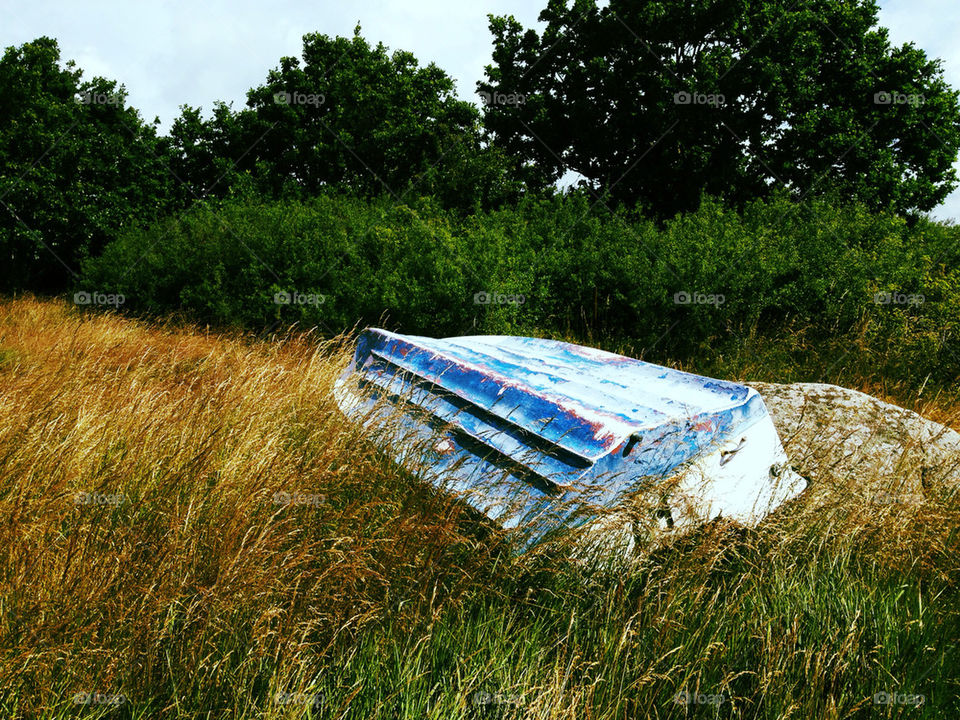 grass tree boat old by jesja782