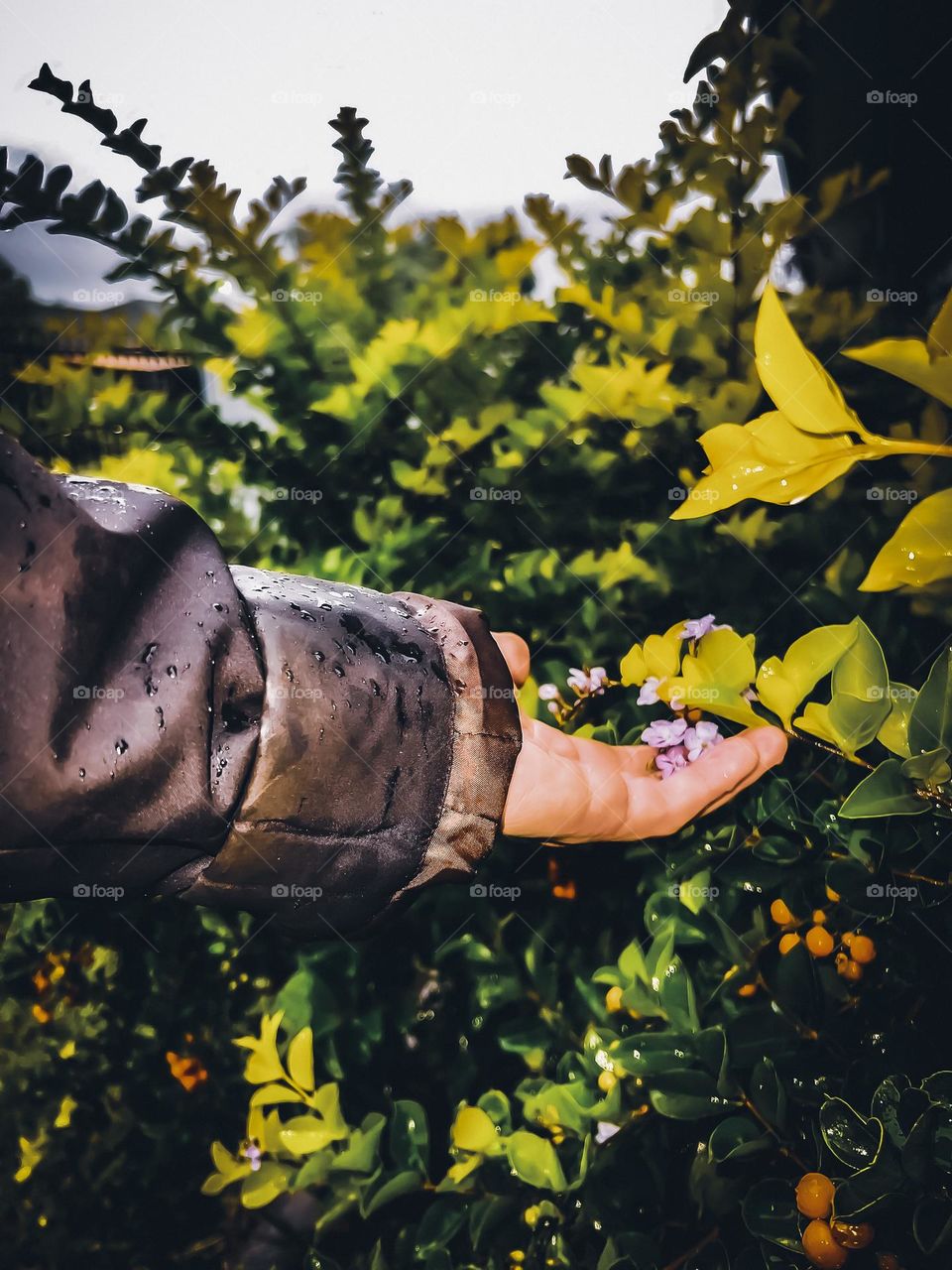 Spring time, sitting inside one day watching the rain fall and then enjoying the sun the next!