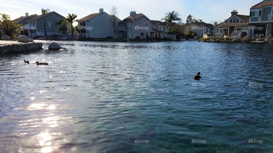 Lake homes