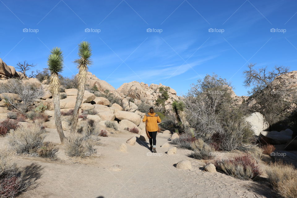 Joshua Tree National Park is a great place to explore. 
