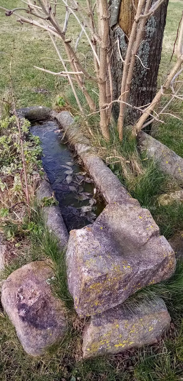 Alte Brunnen