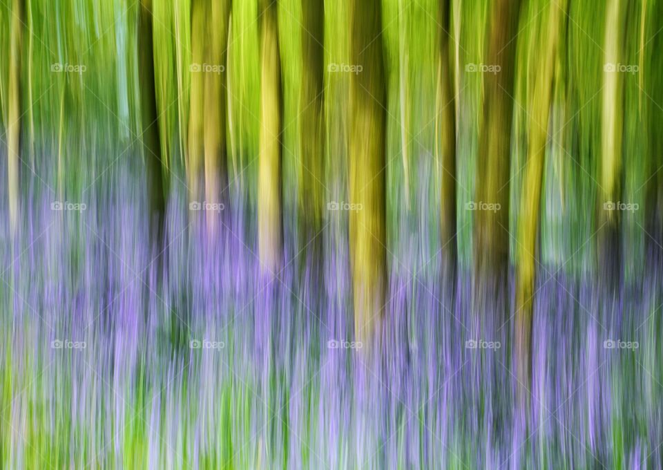 A blurred bluebell wood using a pan effect that creates abstract shapes and pastel colours.