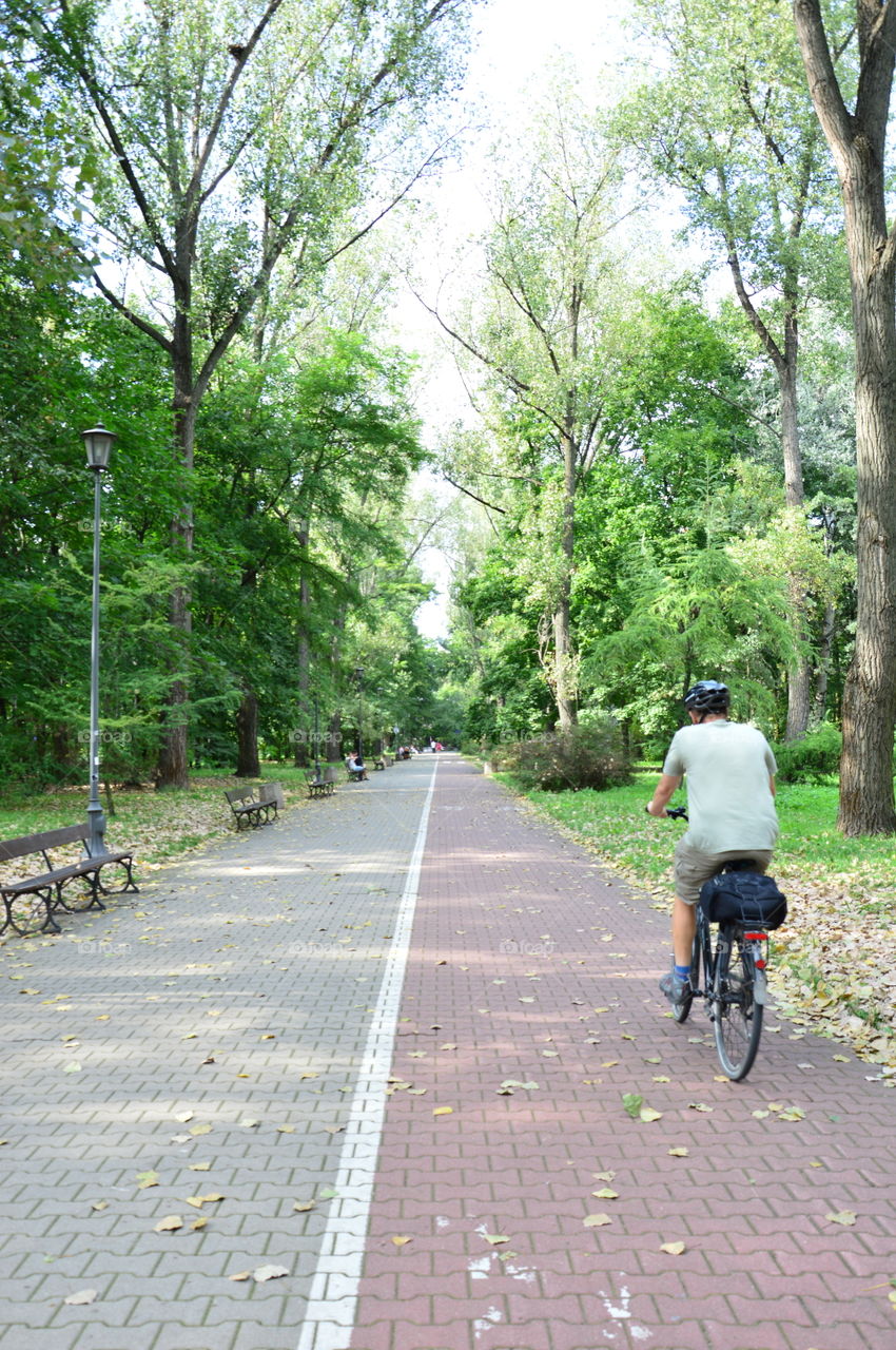 go to work pedaling in the park