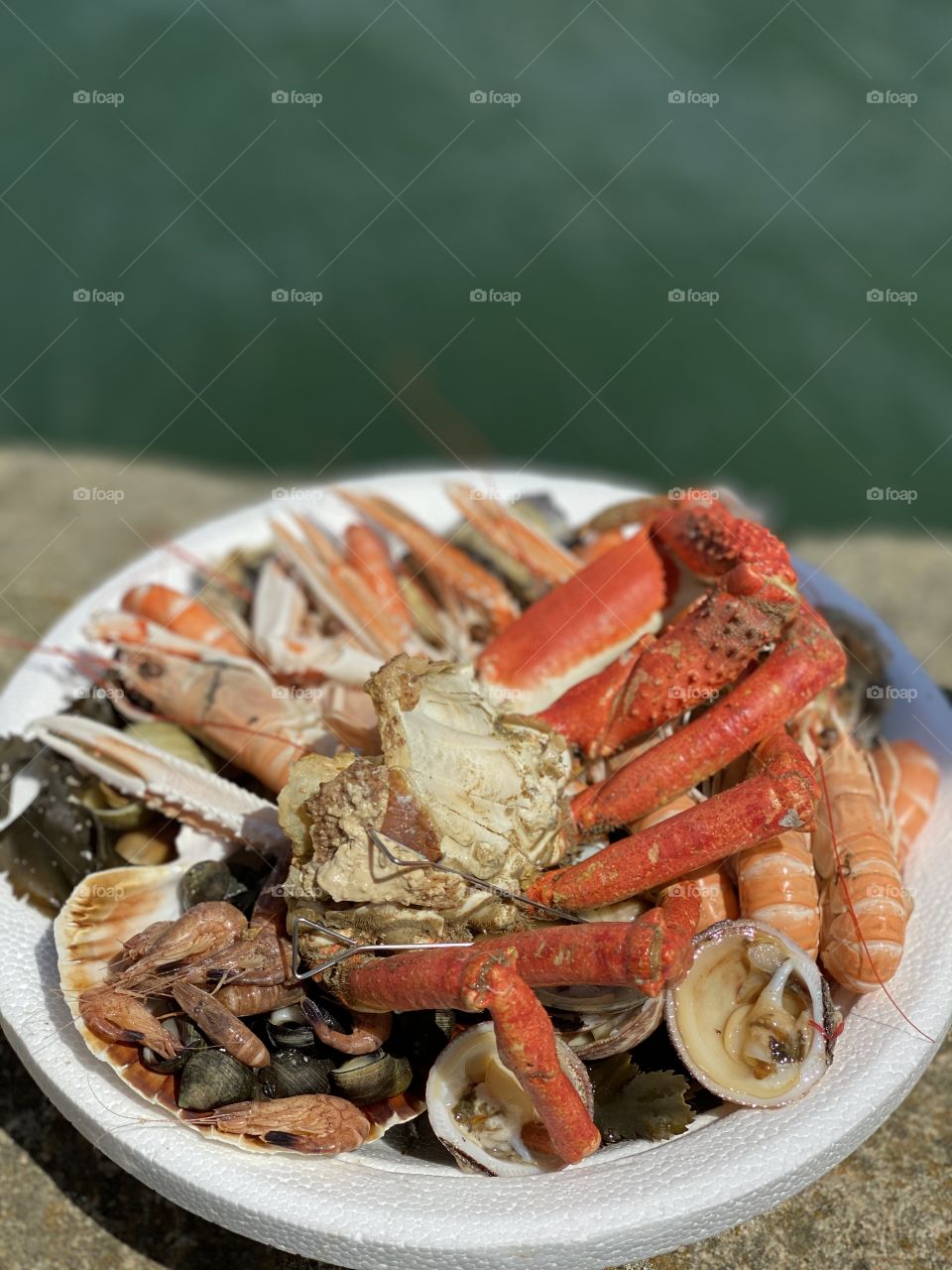 Seafood or fruit de mer with sea as background 