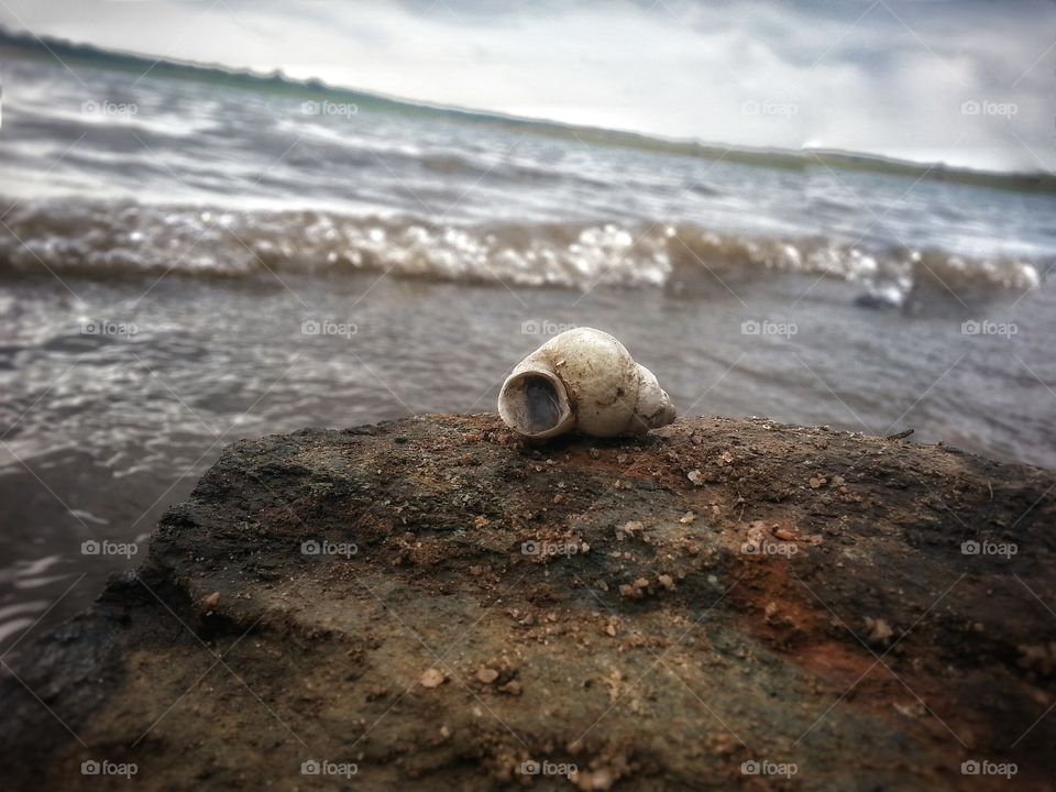 cone. alone in the world of  sea