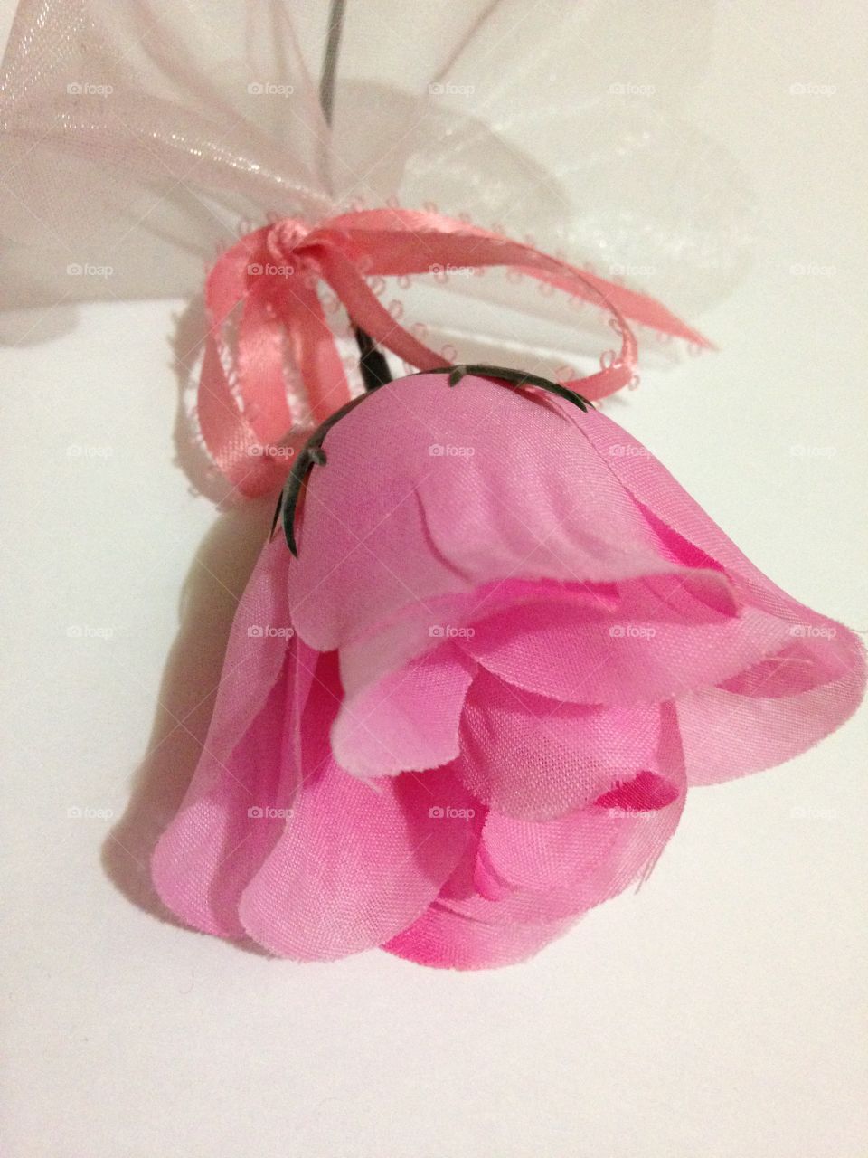 Pink rose and fabric