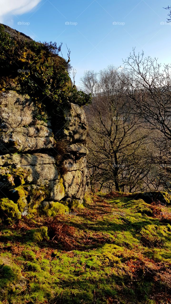 Dartmoor, Tor