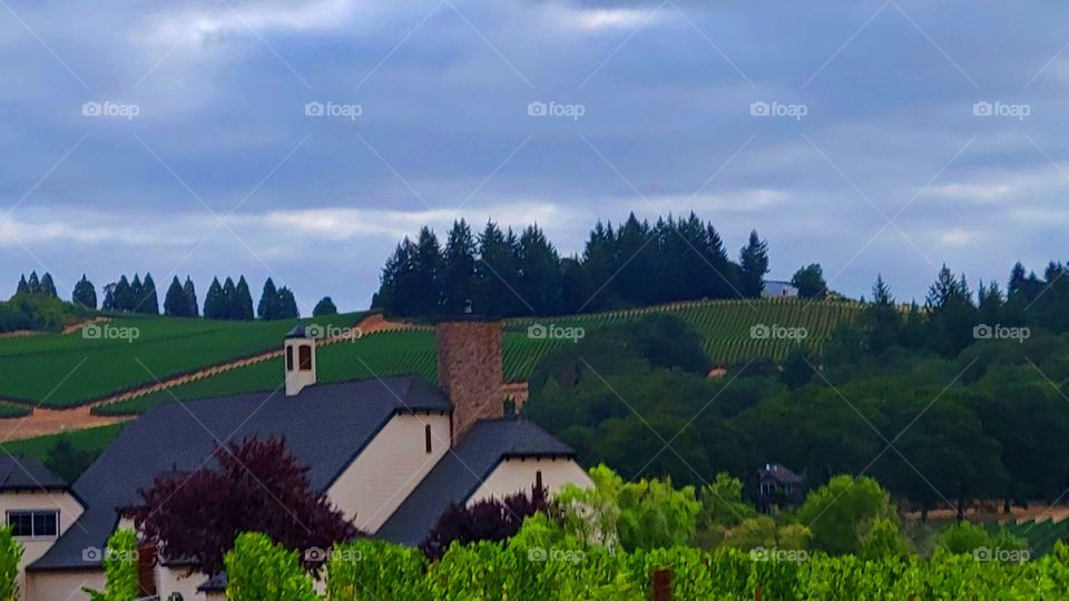 a view of the winery