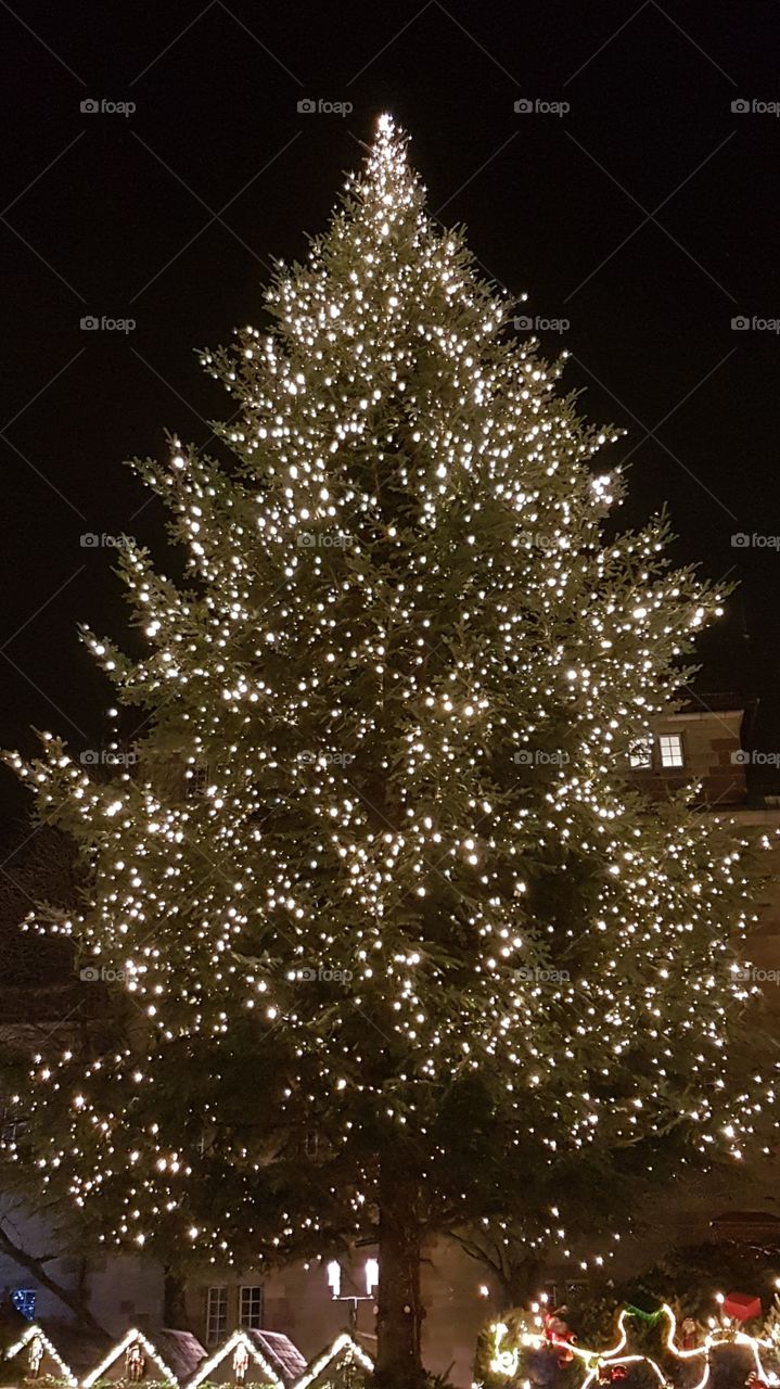 beautiful, shining and glisten christmas tree by night