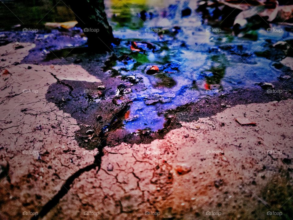 buy this photo at least 3 dollars