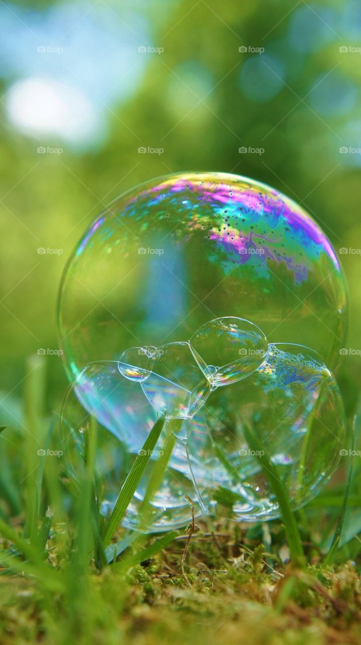 Bubble on grass