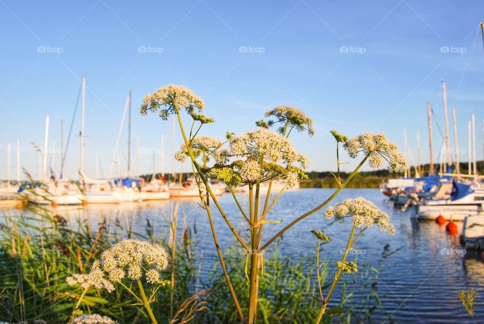 View of sailing boat moored at harbor