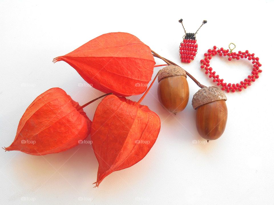 flora plants acorns  and figure beads