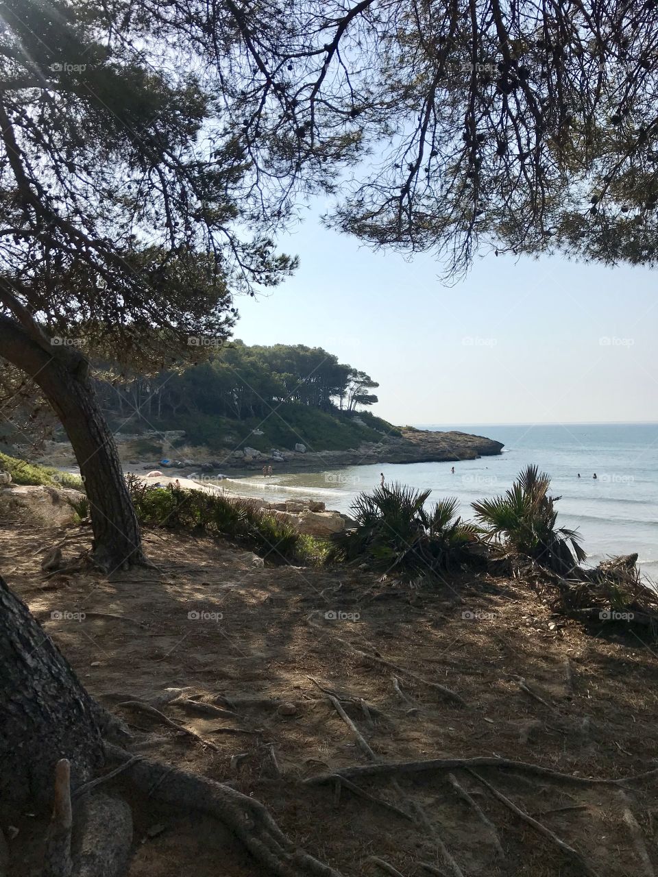Cala de la Roca Plana (Tarragona, Catalunya)