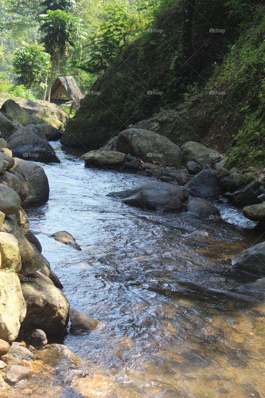 river with its pure water