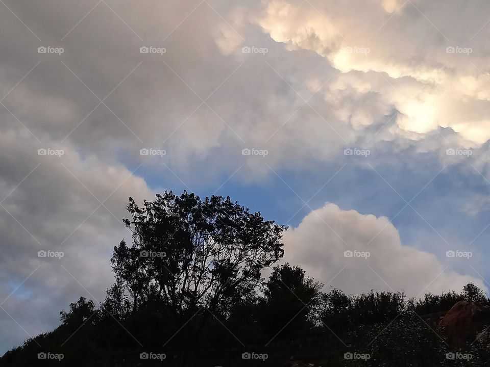looking lovely cloud