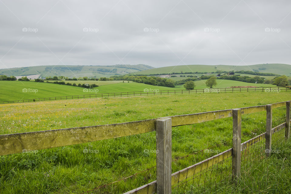 Landscape, Grass, Field, Agriculture, Farm