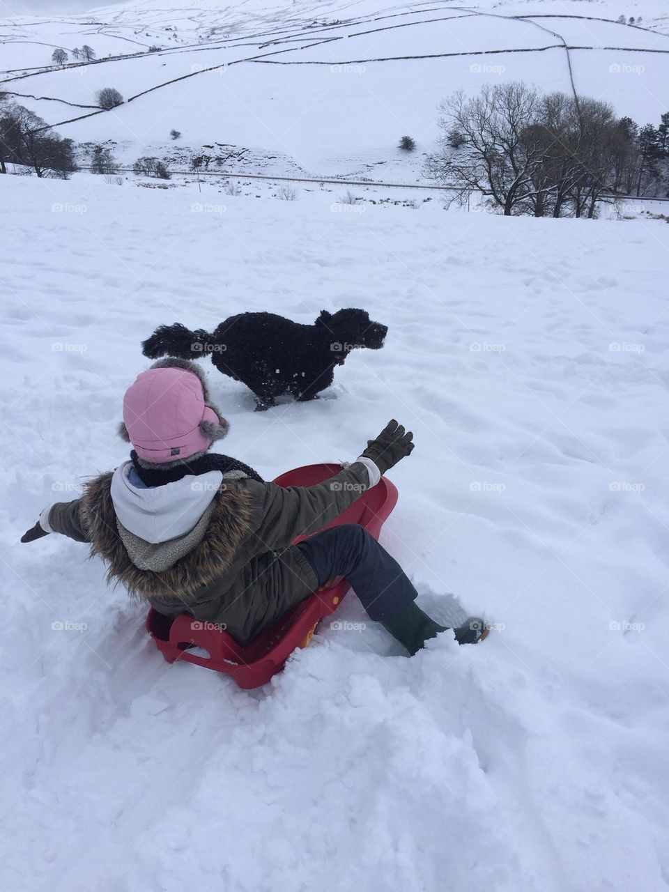 Playing in the snow