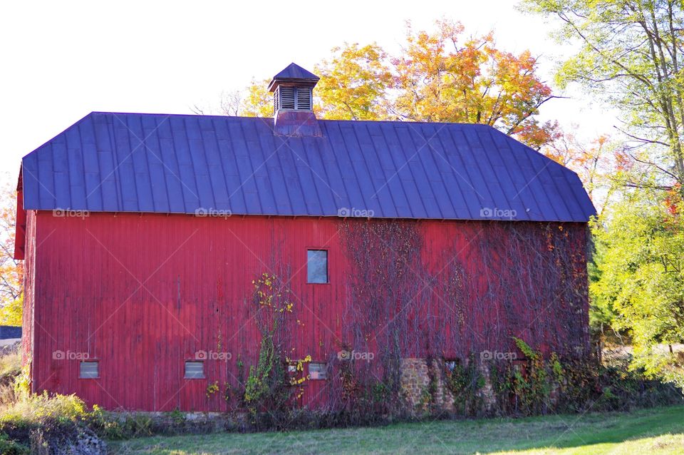 Olana Barn