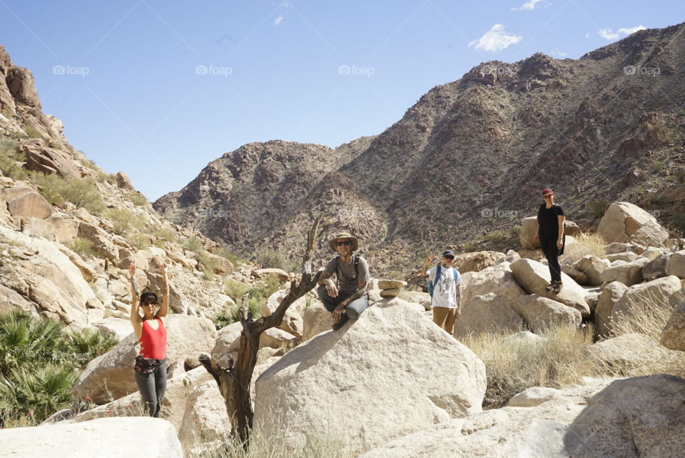 Finding an oasis is always better with friends