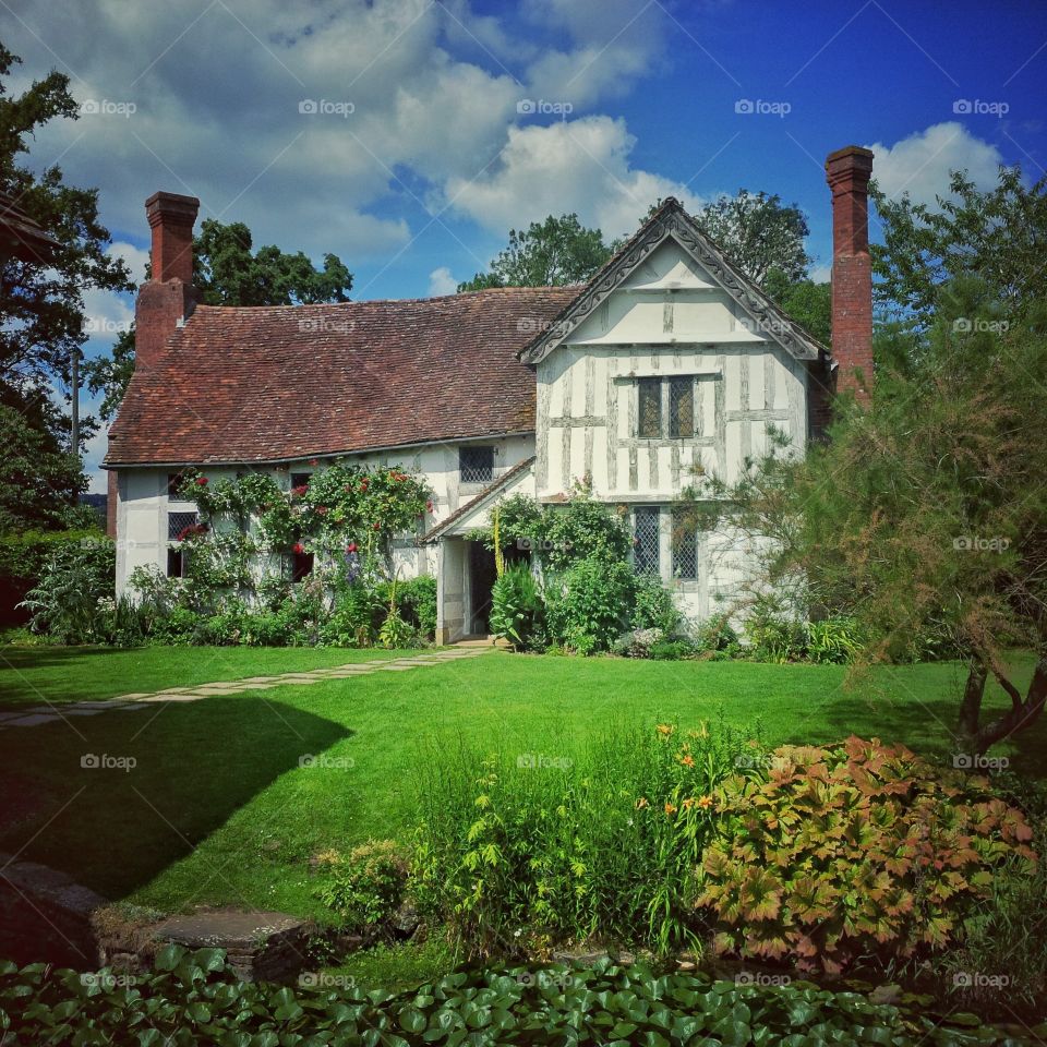 Cottage . Old English cottage 