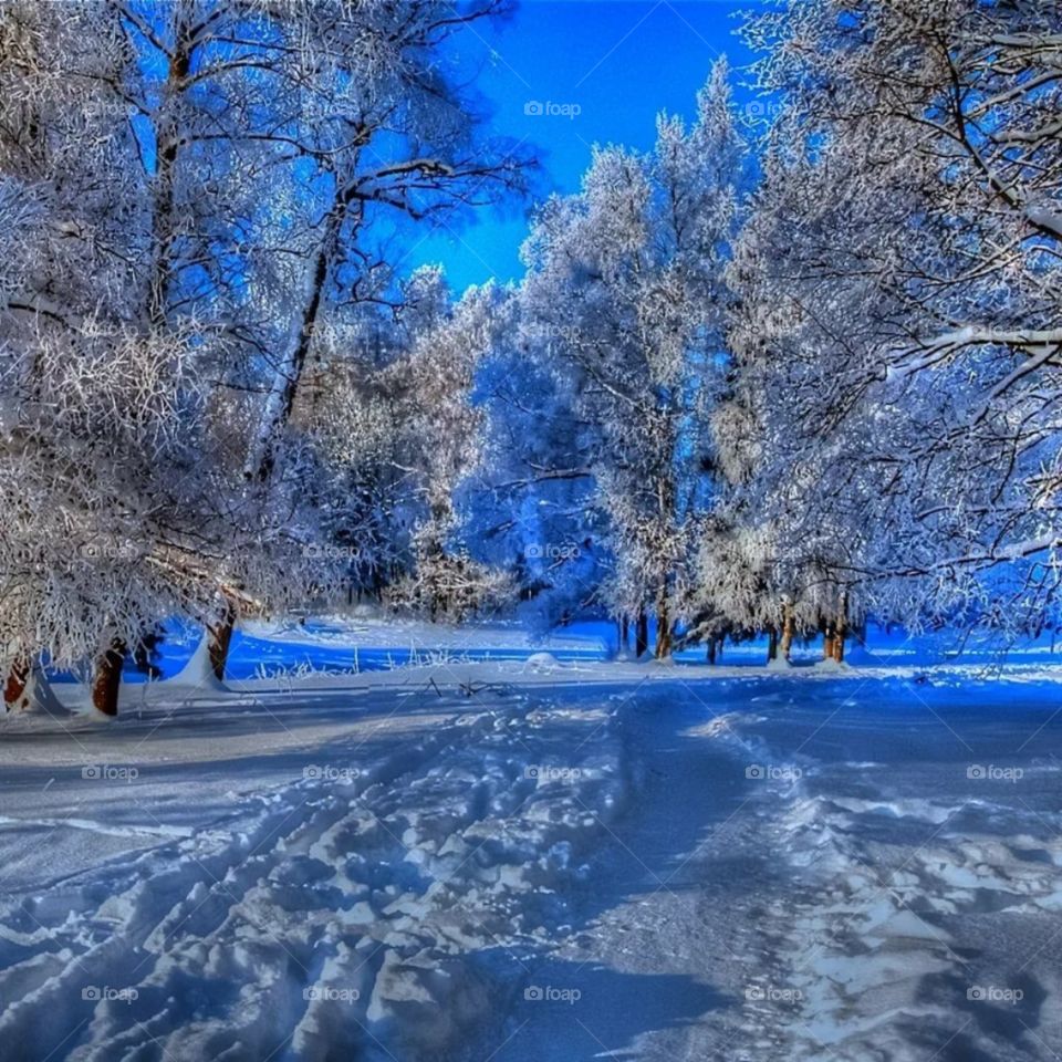 Winter❄️❄️❄️