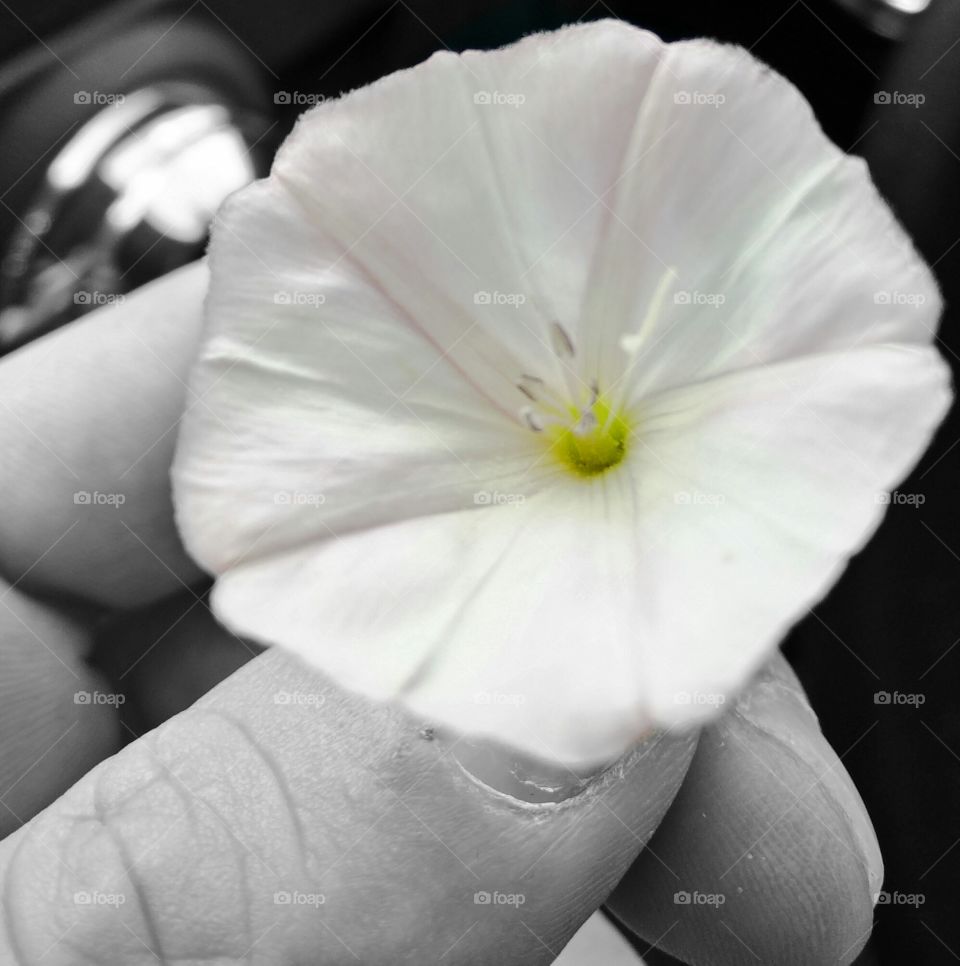 For you. Just nature