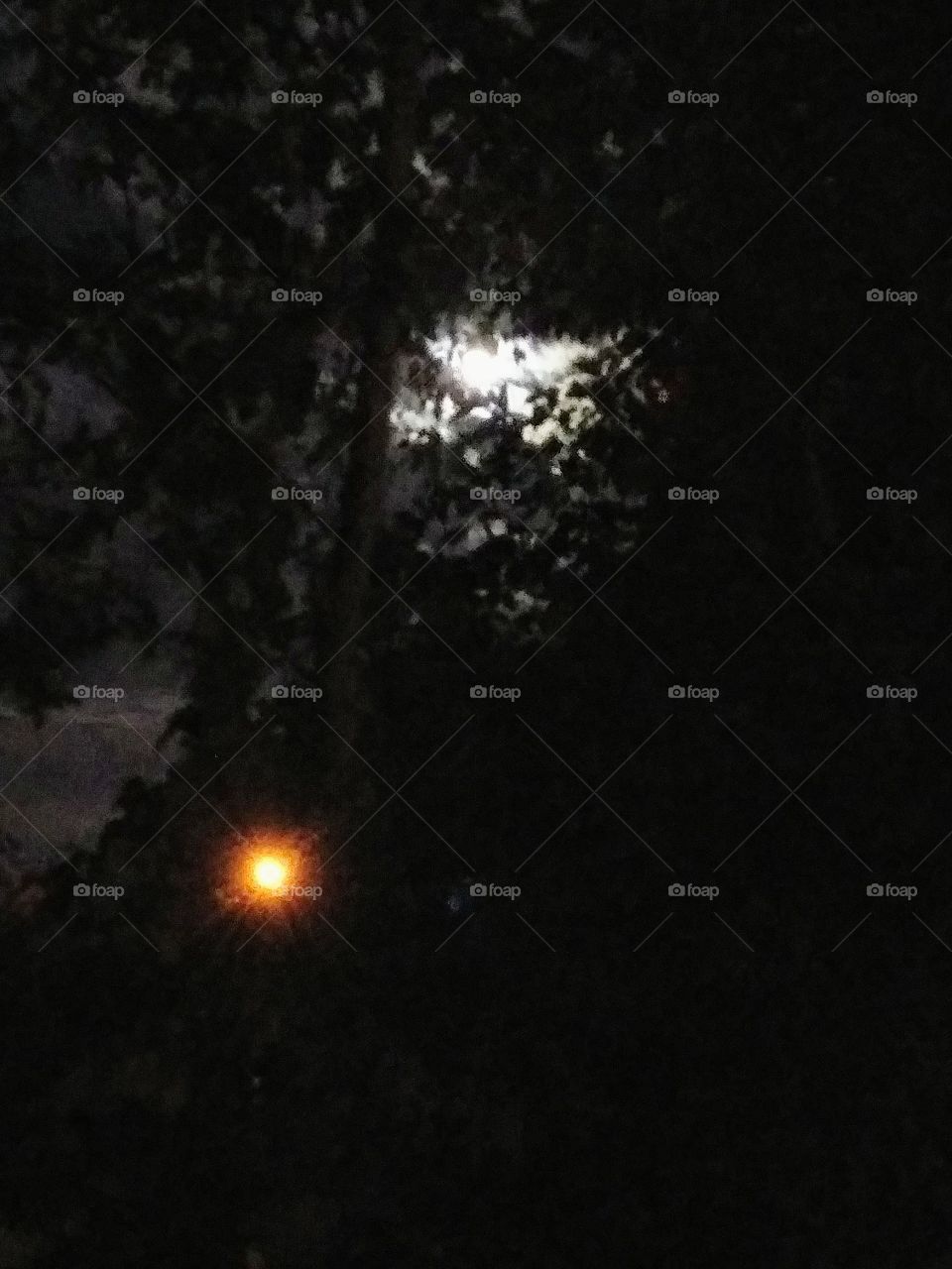 glowing lights at night