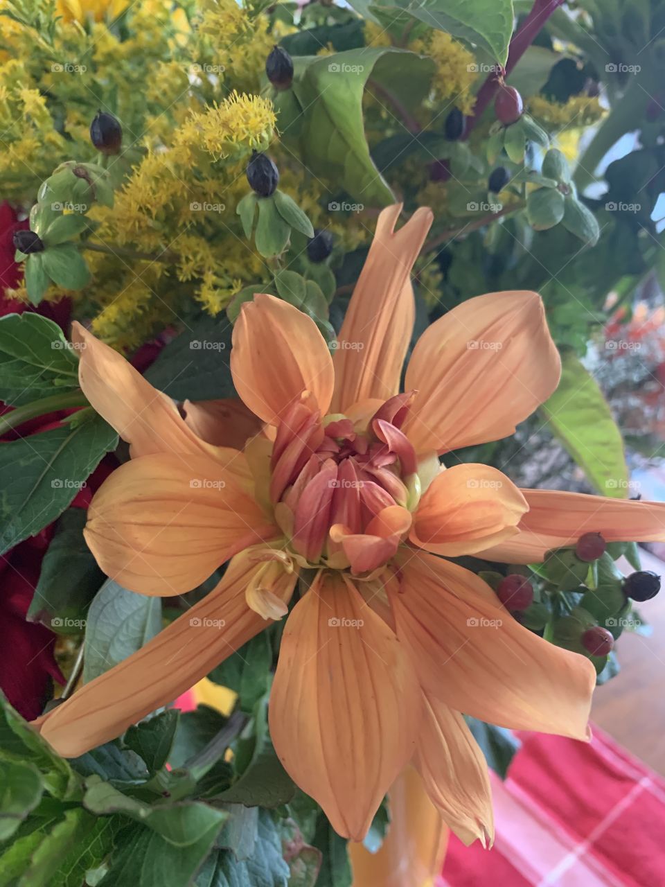 My favorite flower color 