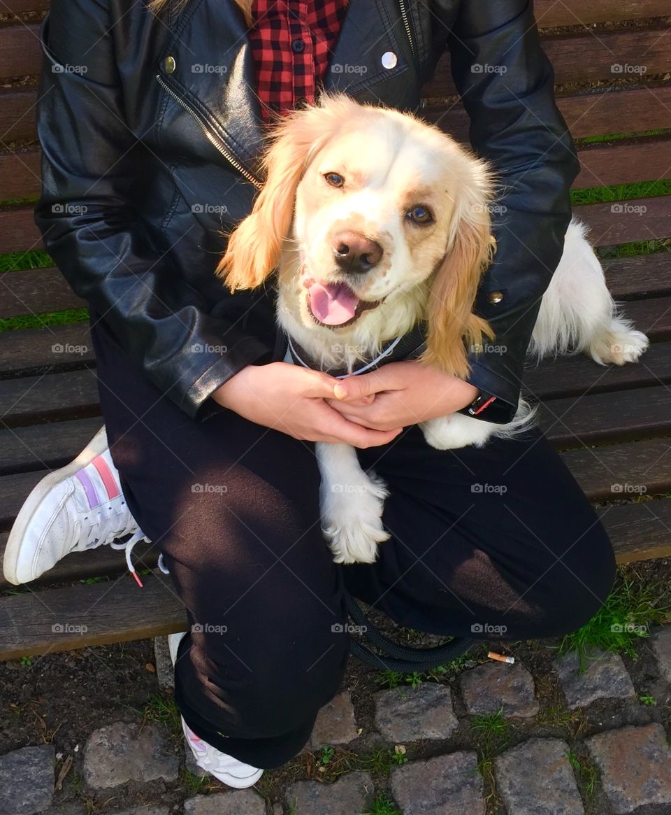 Smiling dog in Valbypark - Denmark 