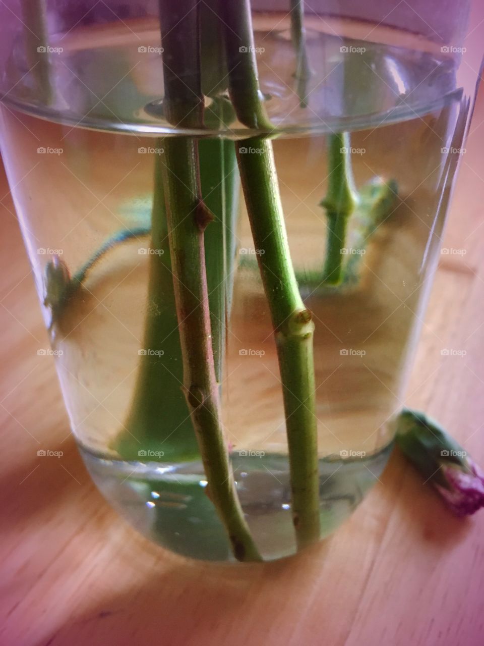 Flower stem in a bottle 